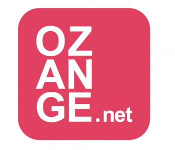Logo - GROUPE ÉCONOMIQUE ET SOLIDAIRE MÉNAGE SERVICE / OZANGE.NET