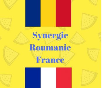 Logo - SYNERGIE ROUMANIE FRANCE