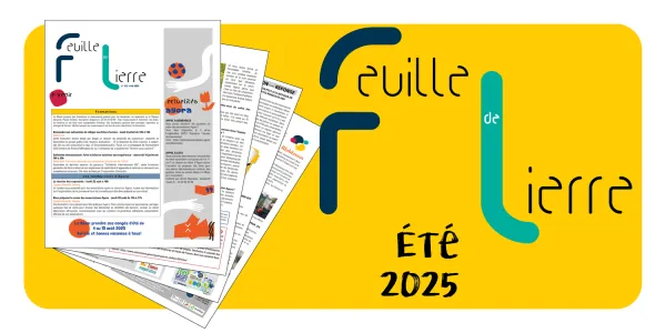 visuel Feuille de Lierre